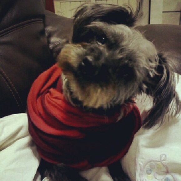 Meet your Posher, Lisa - Picture 8 of 8